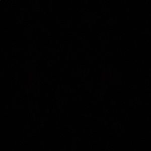 Meet your Posher, Camille